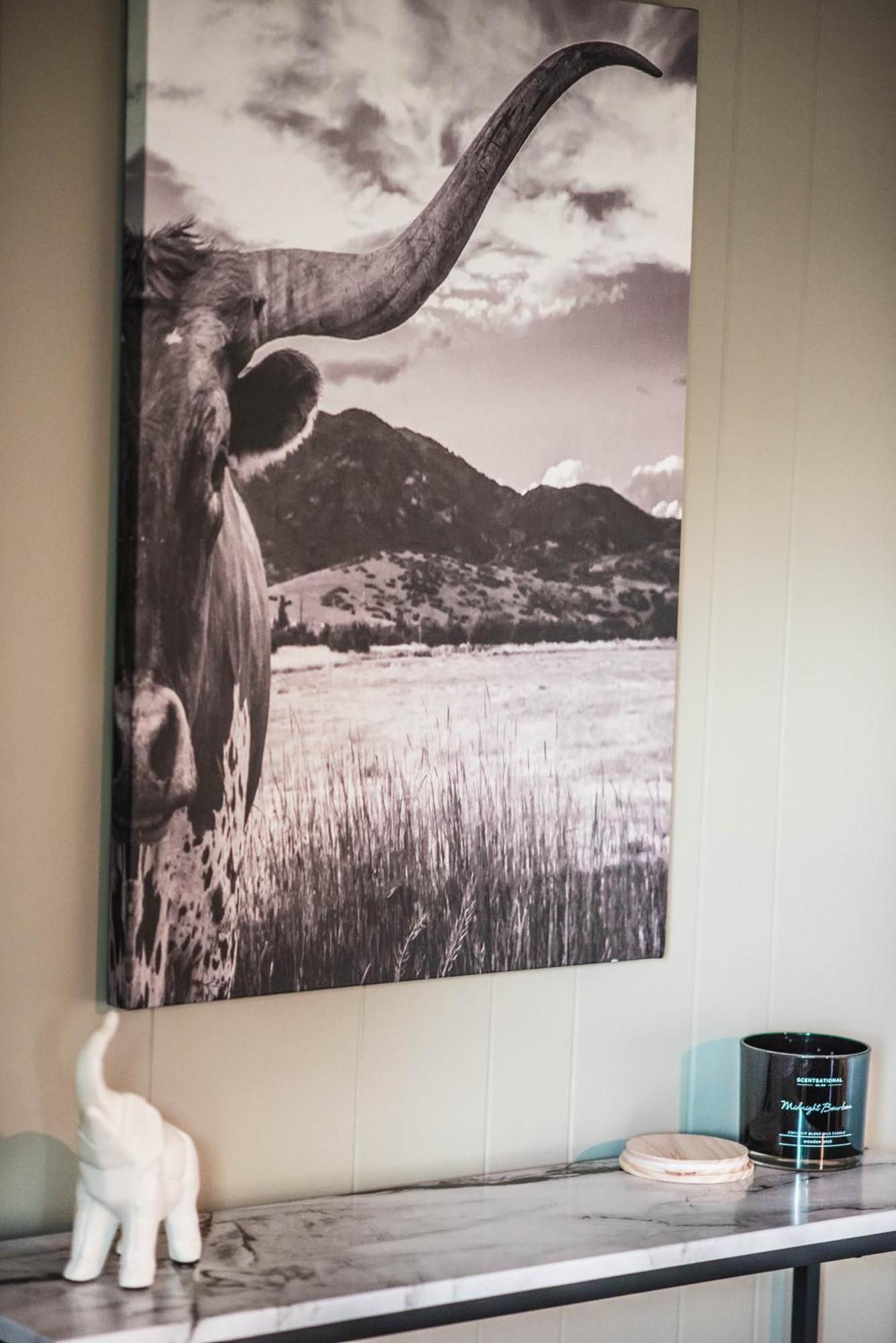Mount Tabor Ranch Near Vt - King Bed/Fast Wi-Fi Villa Blacksburg Bagian luar foto